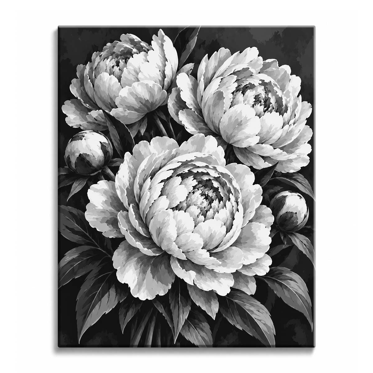 A black and white peony paint by numbers design showing ruffled open peonies and round buds among long pointed leaves on a dark background.