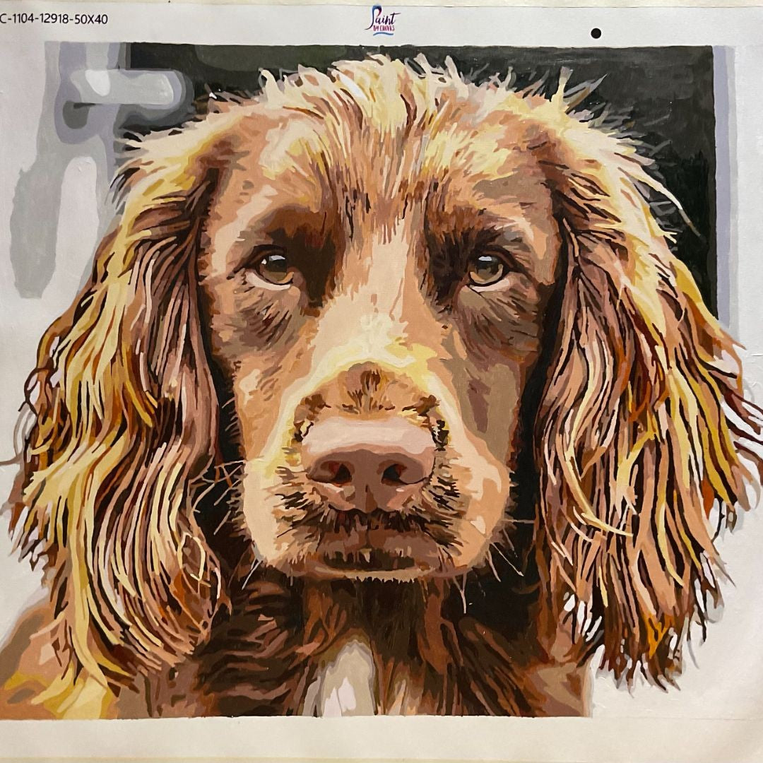 Paint Your Pet — Custom Paint by Numbers-zoom-13