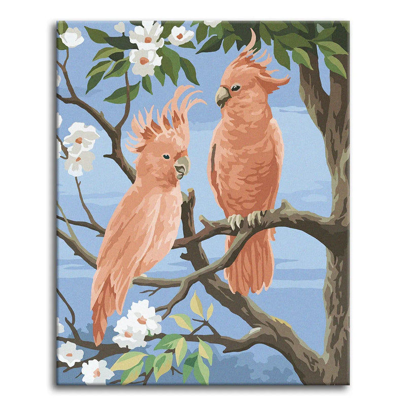 Pink Cockatoos-zoom-