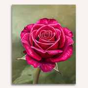 Red Rose Paint by Numbers Kit