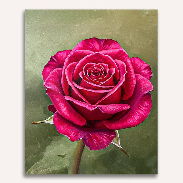 Red Rose Paint by Numbers Kit