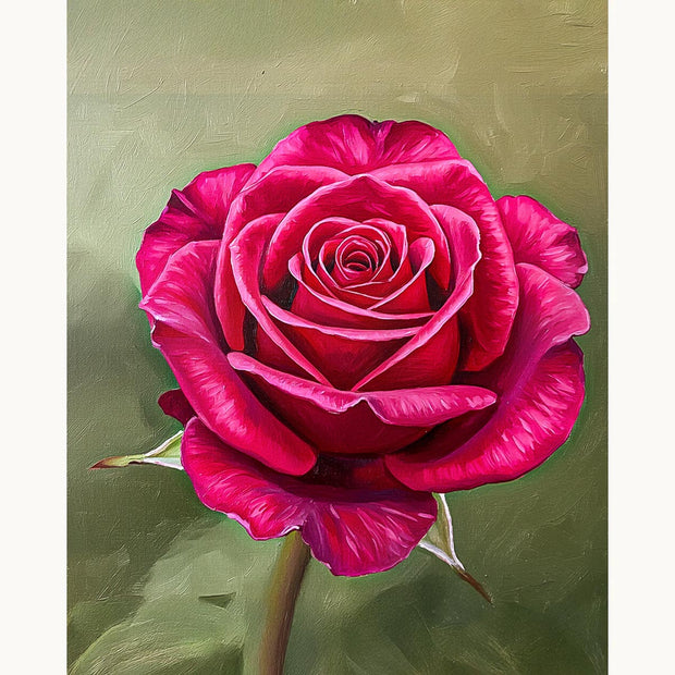 Red Rose Paint by Numbers Kit