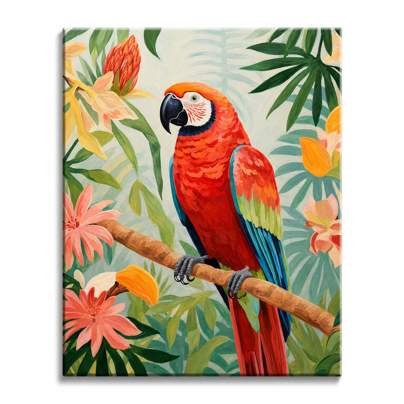 Scarlet Macaw-zoom-