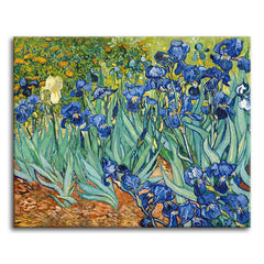 A paint by numbers version of Van Gogh's Irises, with deep blue-violet flowers and green leaves against red-orange earth and a single white bloom.