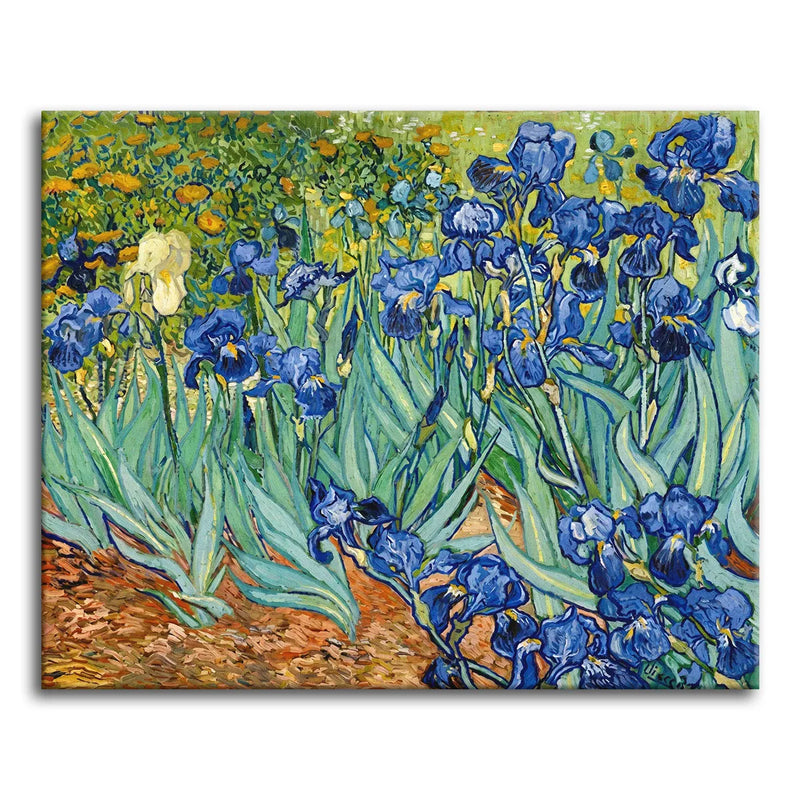 Van Gogh Irises-zoom-
