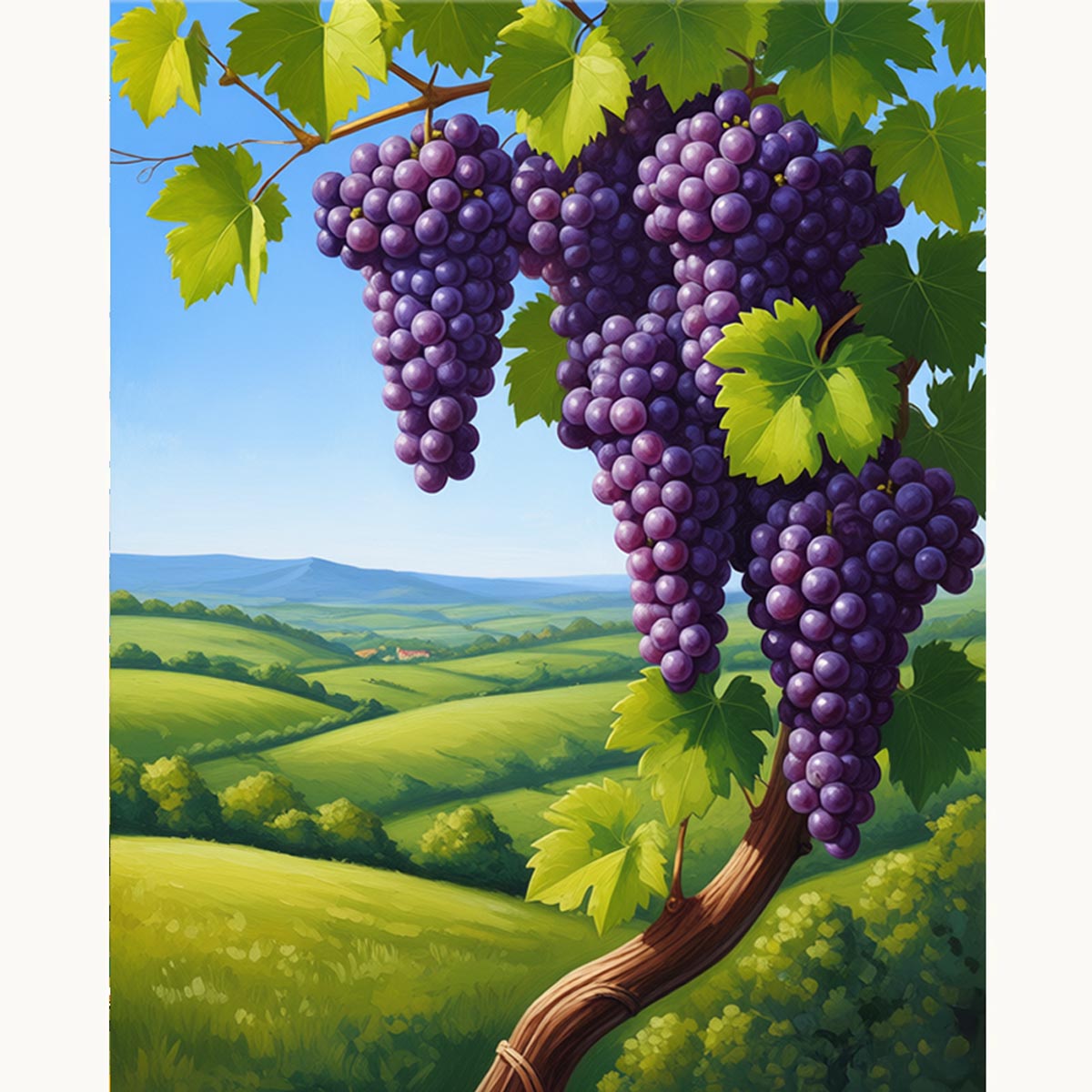 Vineyard Grapes Paint by Numbers Kit-zoom-2