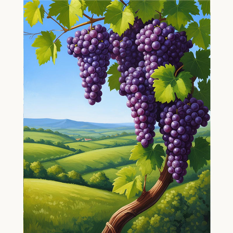 Vineyard Grapes Paint by Numbers Kit-zoom-