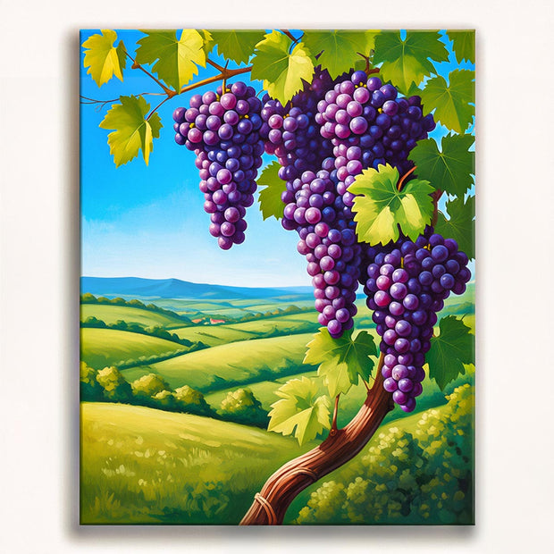 Vineyard Grapes Paint by Numbers Kit